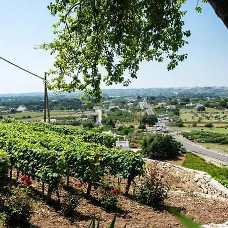 Belvedere