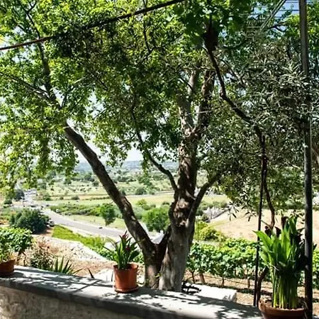 Belvedere Holiday home