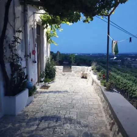 Belvedere