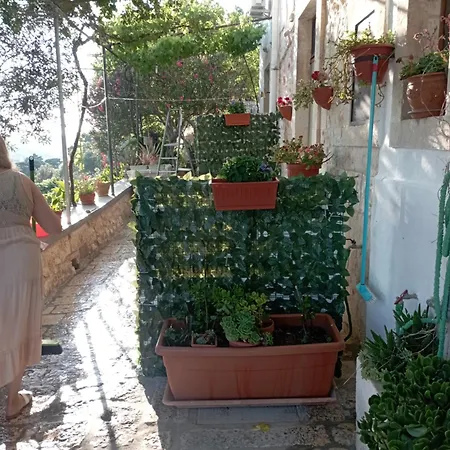 בית נופש Belvedere