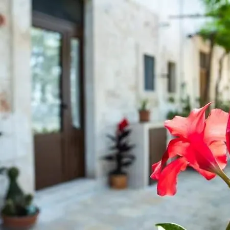 Belvedere Casa vacanze *