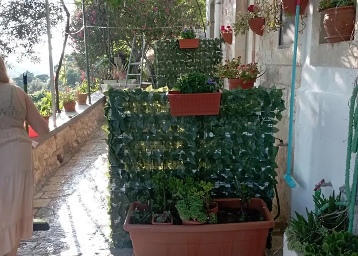 Tatil Evi Belvedere